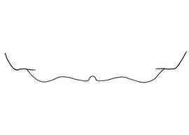   Anthidium palmarum  female, diagram showing the dorsal view of the sixth tergite (T6), diagram from Gonzalez and Griswold 2013 
